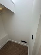 IMG_5614 Medium.jpeg